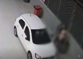 Brasileiro de 17 anos é o 2º da história a ganhar Prêmio Weizmann ao criar repelente com fruto amazônico