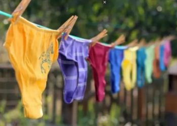 Vídeo: polícia procura ladrão de calcinhas que está invadindo quintais