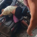 Vídeo: motorista de app morre em cima da moto após bater na traseira de carro