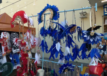 Campanha do Ibama alerta sobre uso de animal silvestres para fazer acessórios para boi-bumbá