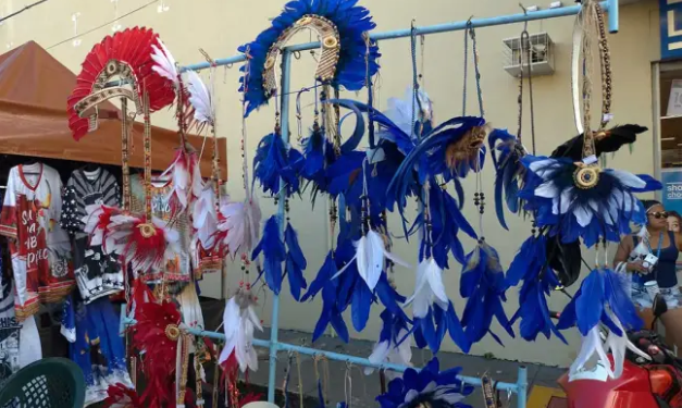 Campanha do Ibama alerta sobre uso de animal silvestres para fazer acessórios para boi-bumbá
