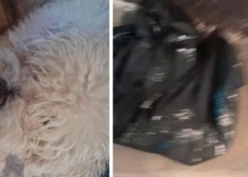 ‘Sem palavras’, Luana Borba mostra o rostinho da filha