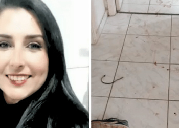 Família de cabeleireira a encontra morta com as pernas amarradas e asfixiada em casa