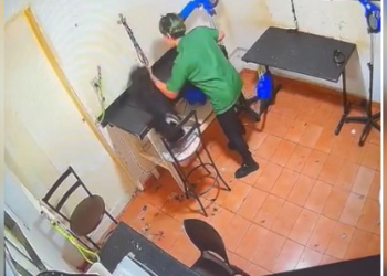 Funcionárias de petshop são filmadas agredindo cadela até a morte