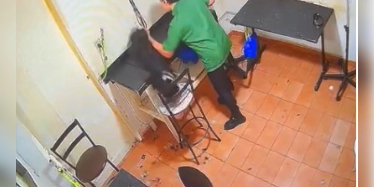 Funcionárias de petshop são filmadas agredindo cadela até a morte