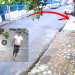 Assista: Homem arria o barro em calçada do Jorge Teixeira após dor de barriga apertar