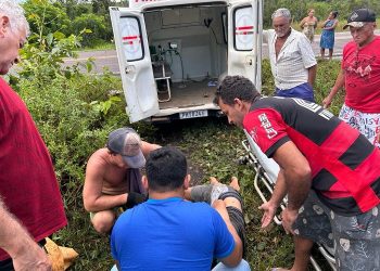 Picape fica destruída após capotar várias vezes e condutor é resgatado ferido na BR-319