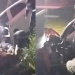 Vídeo: Casal fica ferido após cair com carro em barranco no Lago Azul e homem é retirado aos gritos