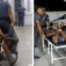 Vídeo: policais são criticados por amarrar ladrão de bombom em UPA