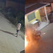 Vídeo: Em Manaus, dupla é flagrada jogando granada na casa de PM e explodindo em cachorro