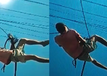 Doido pra morrer, ‘miranha  do crime’ se pendura em poste para furtar fios de internet em Manacapuru; vídeo