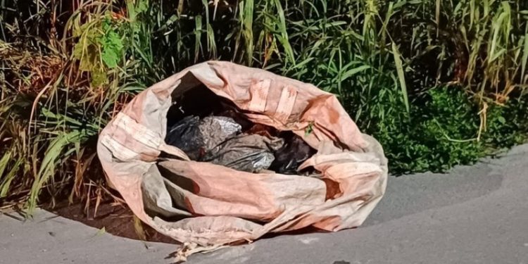Vídeo: Cheio de tapurus, corpo de homem esquartejado é encontrado em saco em avenida de Manaus