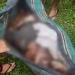 Explosão de draga no interior do AM faz homem morrer sem a cabeça; outros dois estão desaparecidos