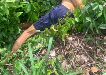 Horas após ouvirem tiros, moradores encontram homem morto no mato em Manauscorpo no tarumã, morto no tarumã, morto no mato