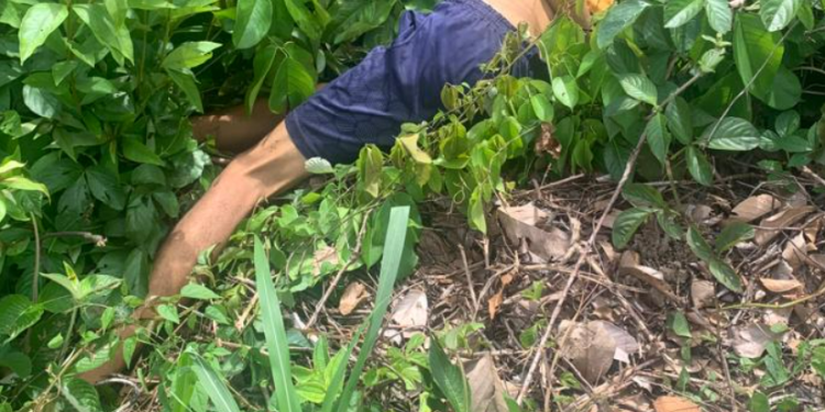 Horas após ouvirem tiros, moradores encontram homem morto no mato em Manauscorpo no tarumã, morto no tarumã, morto no mato