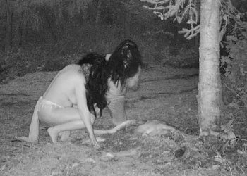 VEJA: Mulheres são flagradas comendo carcaça de animal morto durante ritual satânico