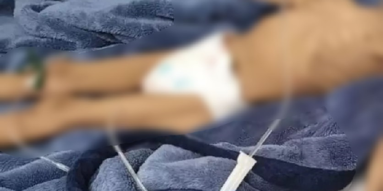 Menina de 3 anos com 8 kg é resgatada; pai queria morrer de fome com ela