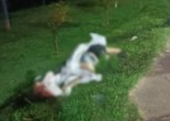 Condutor atropela e mata mulher no meio de avenida no bairro São Jorge