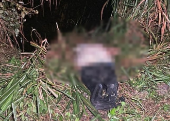 Cena forte: Com sinais de tortura, corpo de homem é encontrado em lençol próximo do lixão de Manaus