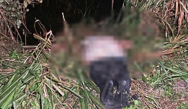 Cena forte: Com sinais de tortura, corpo de homem é encontrado em lençol próximo do lixão de Manaus