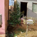 Menino de 17 anos morre com tiro no peito em rua atrás de casa no Cacau Pirêra
