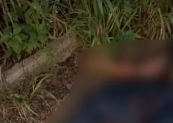 Vídeo: Motociclista morre todo dilacerado em grave acidente na BR-174, em Presidente Figueiredo