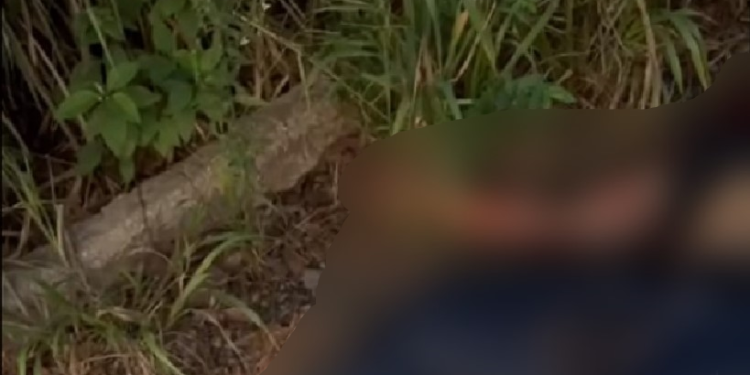 Vídeo: Motociclista morre todo dilacerado em grave acidente na BR-174, em Presidente Figueiredo