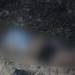 De bruços, homem é encontrado morto a tiros no ramal da Vivenda do Pontal, em Manaus