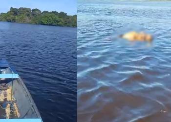 Cena de terror: voltando de pescaria, corpo só no osso é encontrado boiando em Manaus; veja