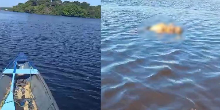 Cena de terror: voltando de pescaria, corpo só no osso é encontrado boiando em Manaus; veja