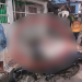 Com moto nova, mulher dá de cara com muro na saída de bar em Tefé e fica ferida