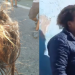 Mulher é presa ao rasgar a cara e cortar o cabelo de menina de 15 anos que seria amante do marido dela; vídeo