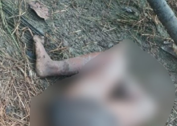 Mulher seminua é morta e tem os olhos arrancados no Amazonas