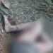 Mulher seminua é morta e tem os olhos arrancados no Amazonas