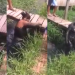 Vídeo: Mulher descobre a amante do marido e tenta afogá-la na lama em Coari