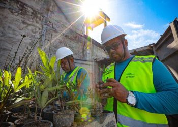 Prosamin+ reflorestará 110 mil metros quadrados de áreas degradadas em Manaus