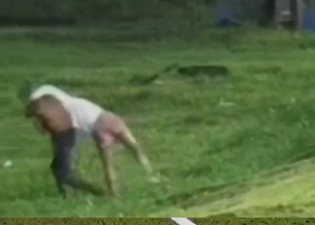 Vídeo: suspeito de tentativa de estupro no interior do AM é pego duas vezes pela polícia