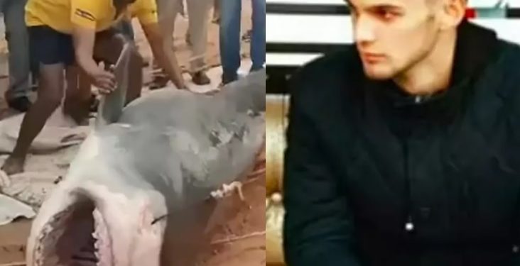 Vídeo: pescadores matam tubarão que comeu banhista na praia