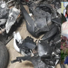 Assista: Homem é atingido por motociclista durante racha; vítima morreu
