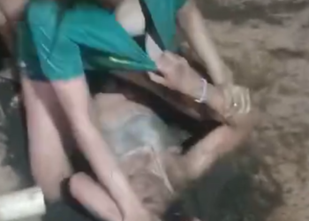 Vídeo: Gatinhas do Mutirãozinho realizam UFC no esgoto