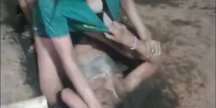 Vídeo: Gatinhas do Mutirãozinho realizam UFC no esgoto