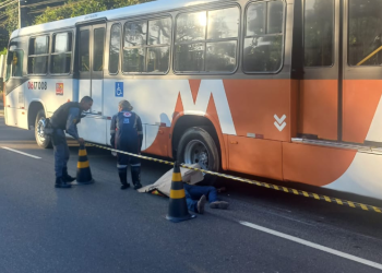 Tamanduá na pista teria causado morte de mototaxista em Manaus
