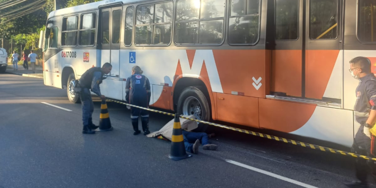 Tamanduá na pista teria causado morte de mototaxista em Manaus