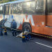Tamanduá na pista teria causado morte de mototaxista em Manaus