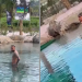 Neymar toma multa de R$ 16 milhões por criar lago artificial em sua mansão de luxo