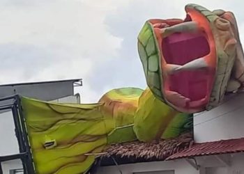 Alegoria do Garantido cai em cima de uma casa em Parintins