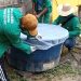 Amazonas tem mais de 11 mil casos de dengue confirmados e seis mortes