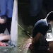 Vídeo: PM invade casa usada como cativeiro por traficantes da Compensa