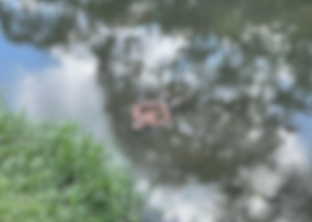 Corpo de homem é encontrado no igarapé do Mindu