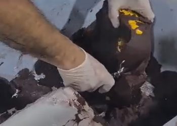 Vídeo: jovem é presa no aeroporto Eduardo Gomes com caixa de isopor cheia de maconha e açaí